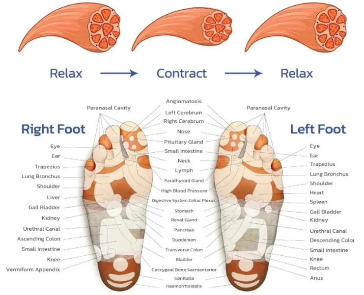 Oplaadbare Voetmassager Mat